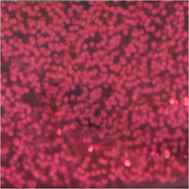 Glitterlim