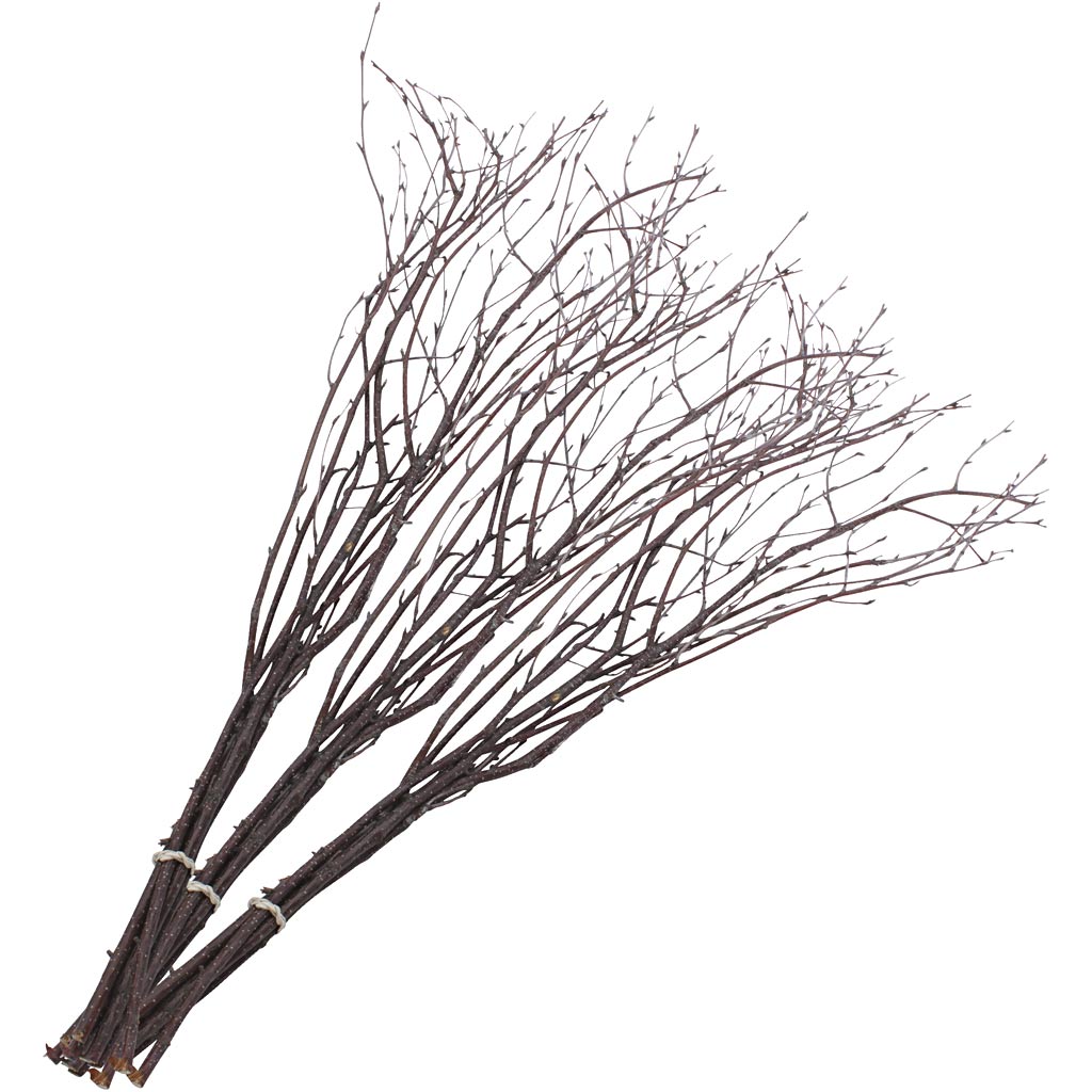 Fastelavnsris