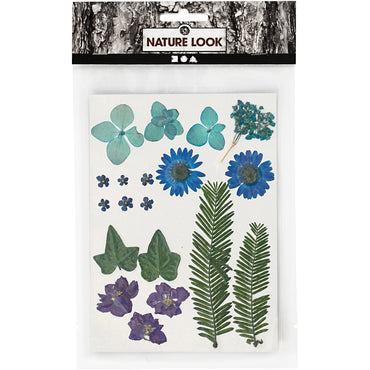 Tørrede blomster og blade