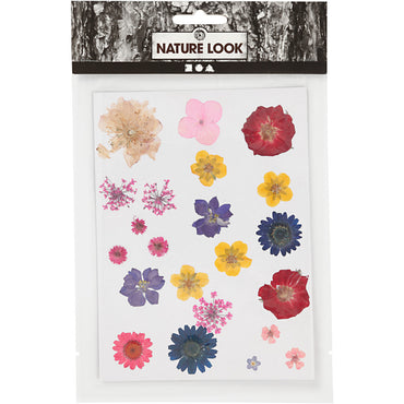 Tørrede blomster og blade