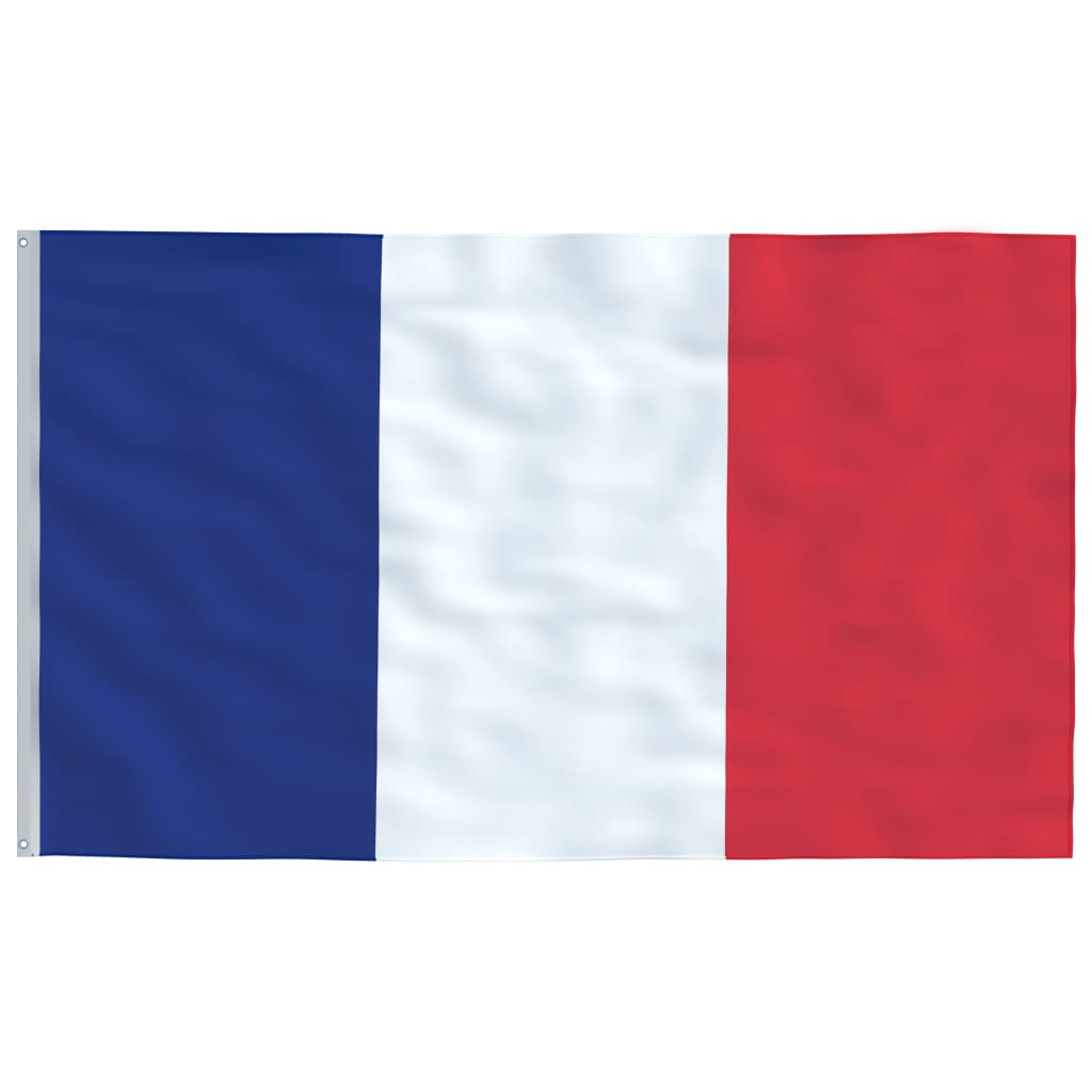 Frankrig flag og flagstang 5,55 m aluminium