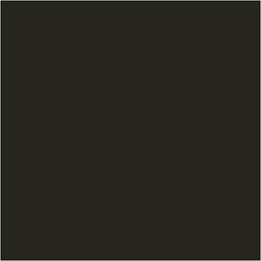 Paver Color
