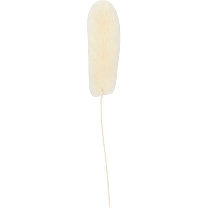 Harehale