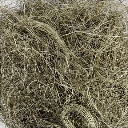 Sisal