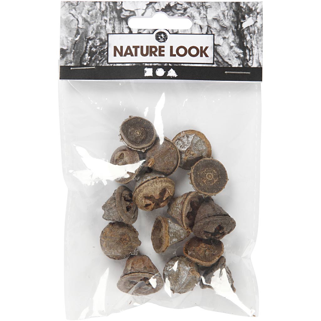 Eucalyptuskogler