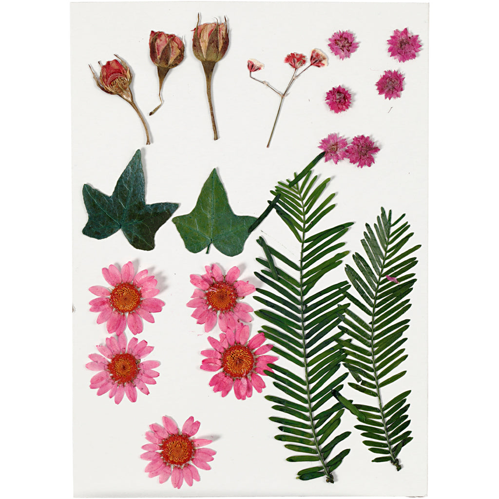 Tørrede blomster og blade