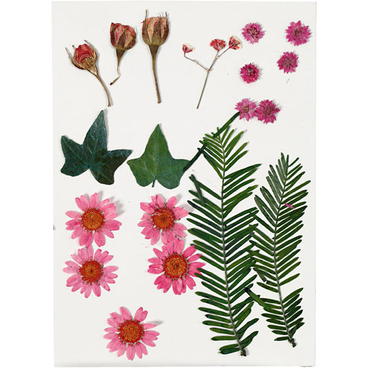 Tørrede blomster og blade