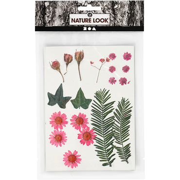 Tørrede blomster og blade
