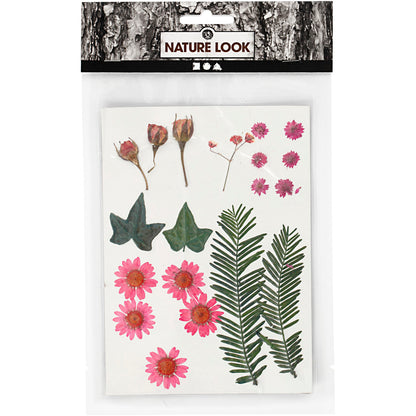 Tørrede blomster og blade