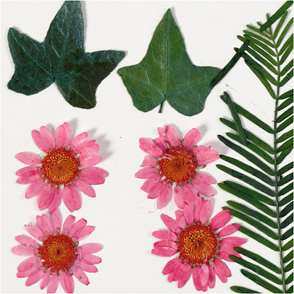 Tørrede blomster og blade