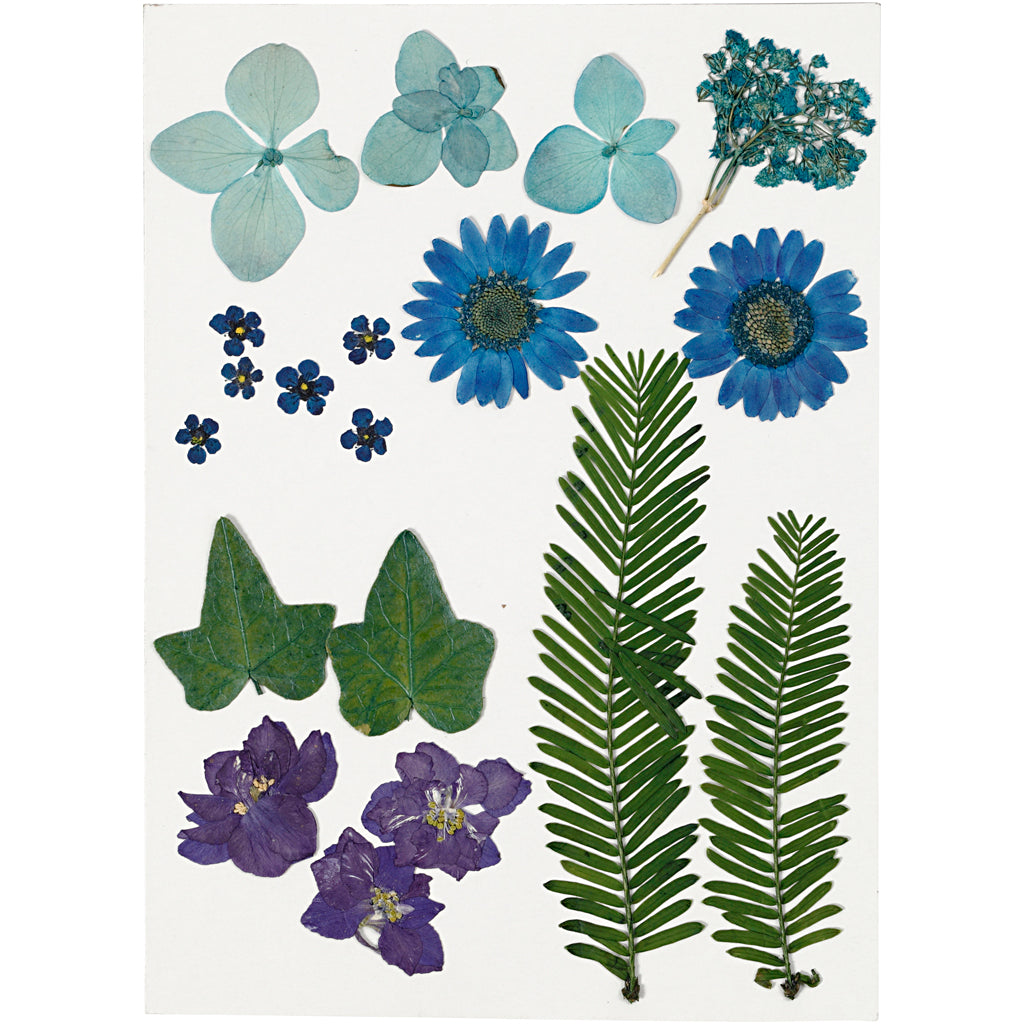 Tørrede blomster og blade