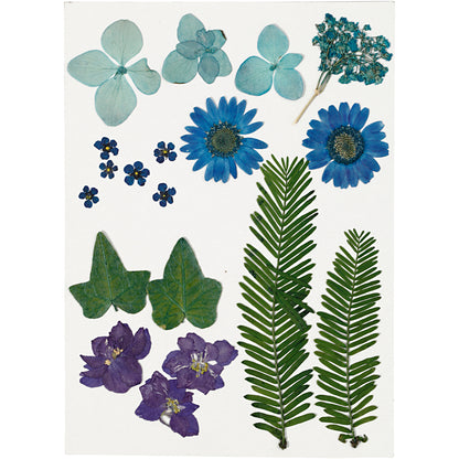 Tørrede blomster og blade