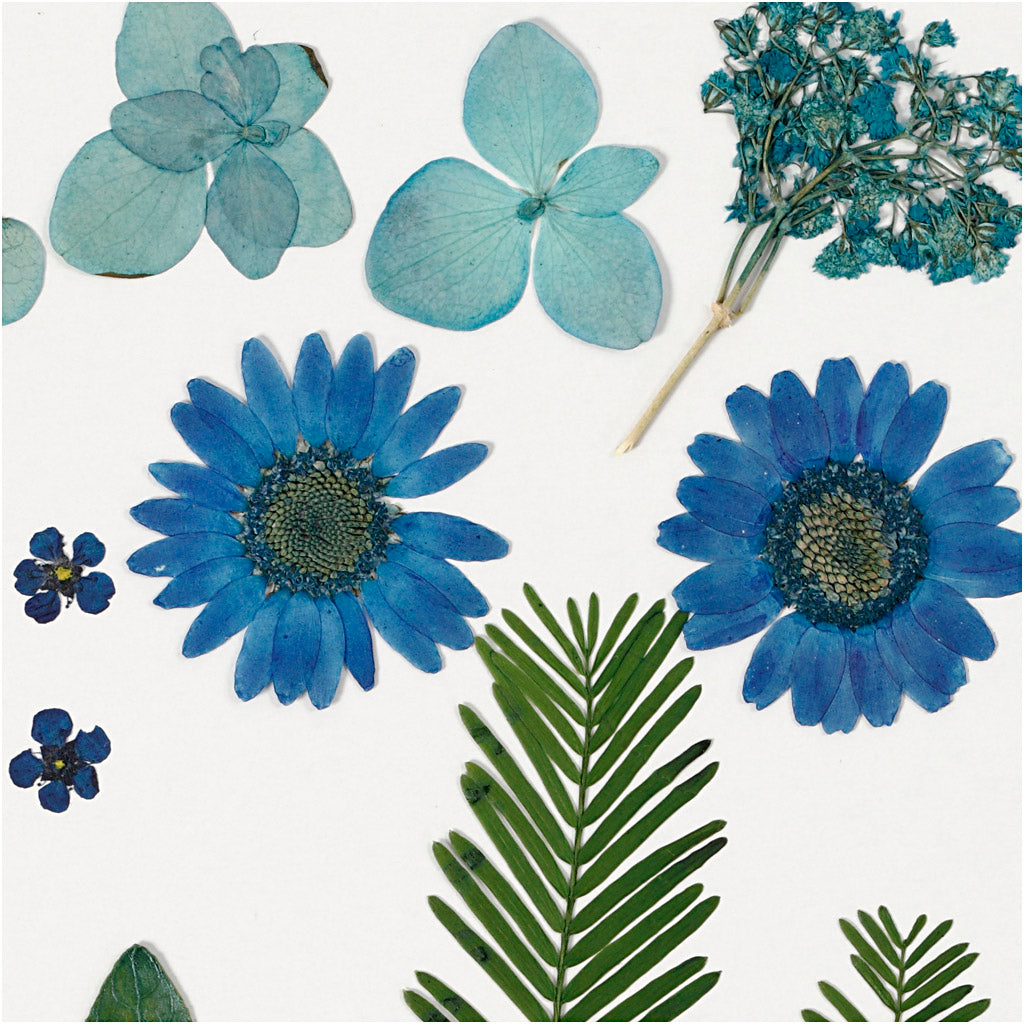 Tørrede blomster og blade