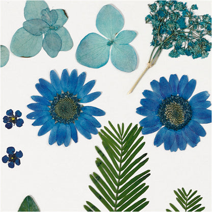 Tørrede blomster og blade