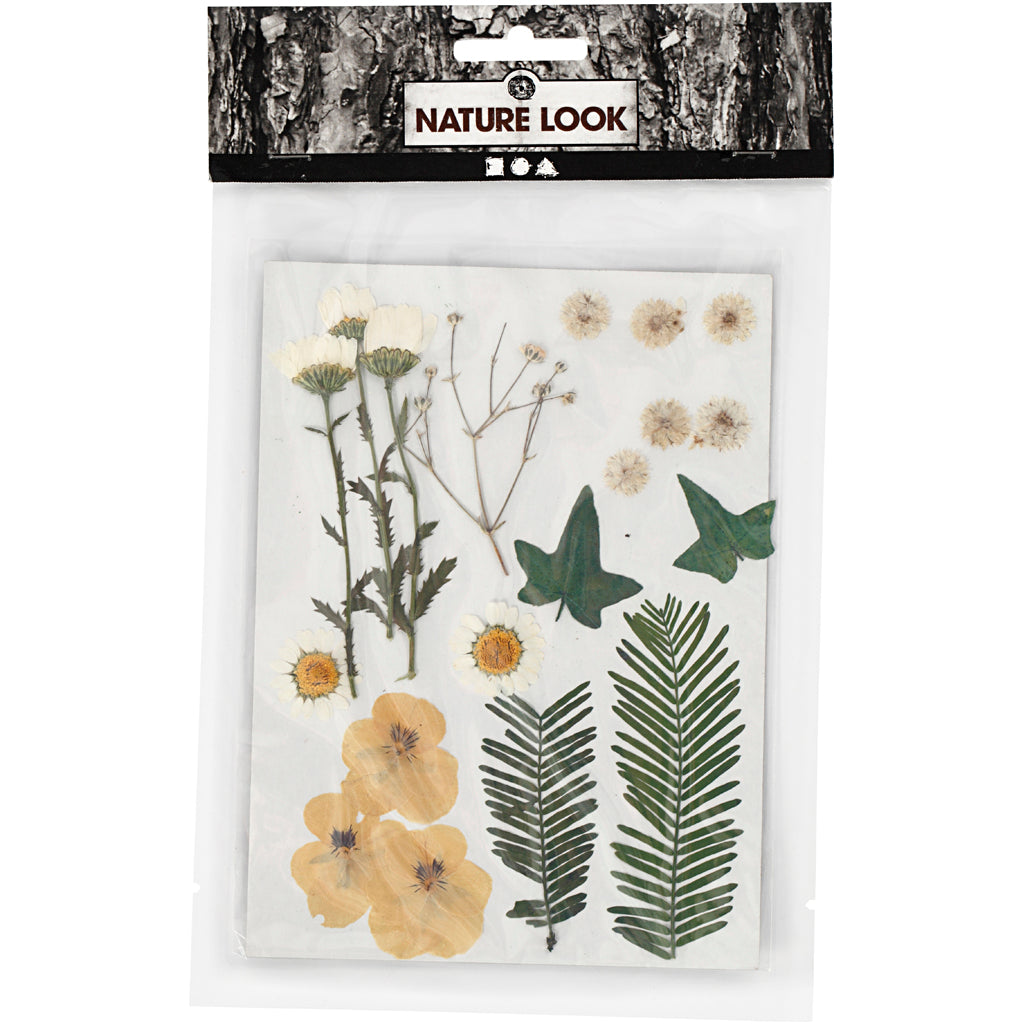 Tørrede blomster og blade