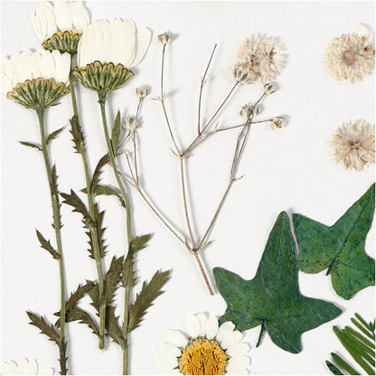 Tørrede blomster og blade