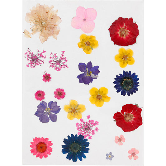 Tørrede blomster og blade