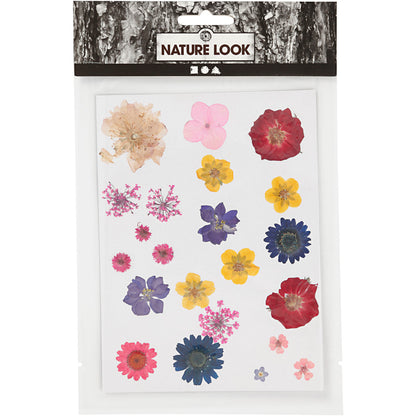 Tørrede blomster og blade