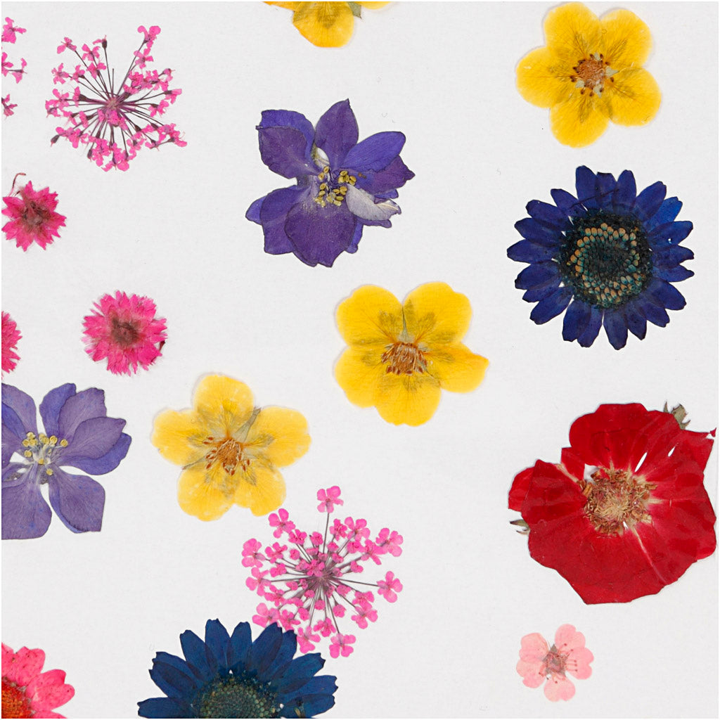 Tørrede blomster og blade