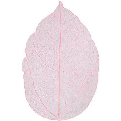 Skeletblade