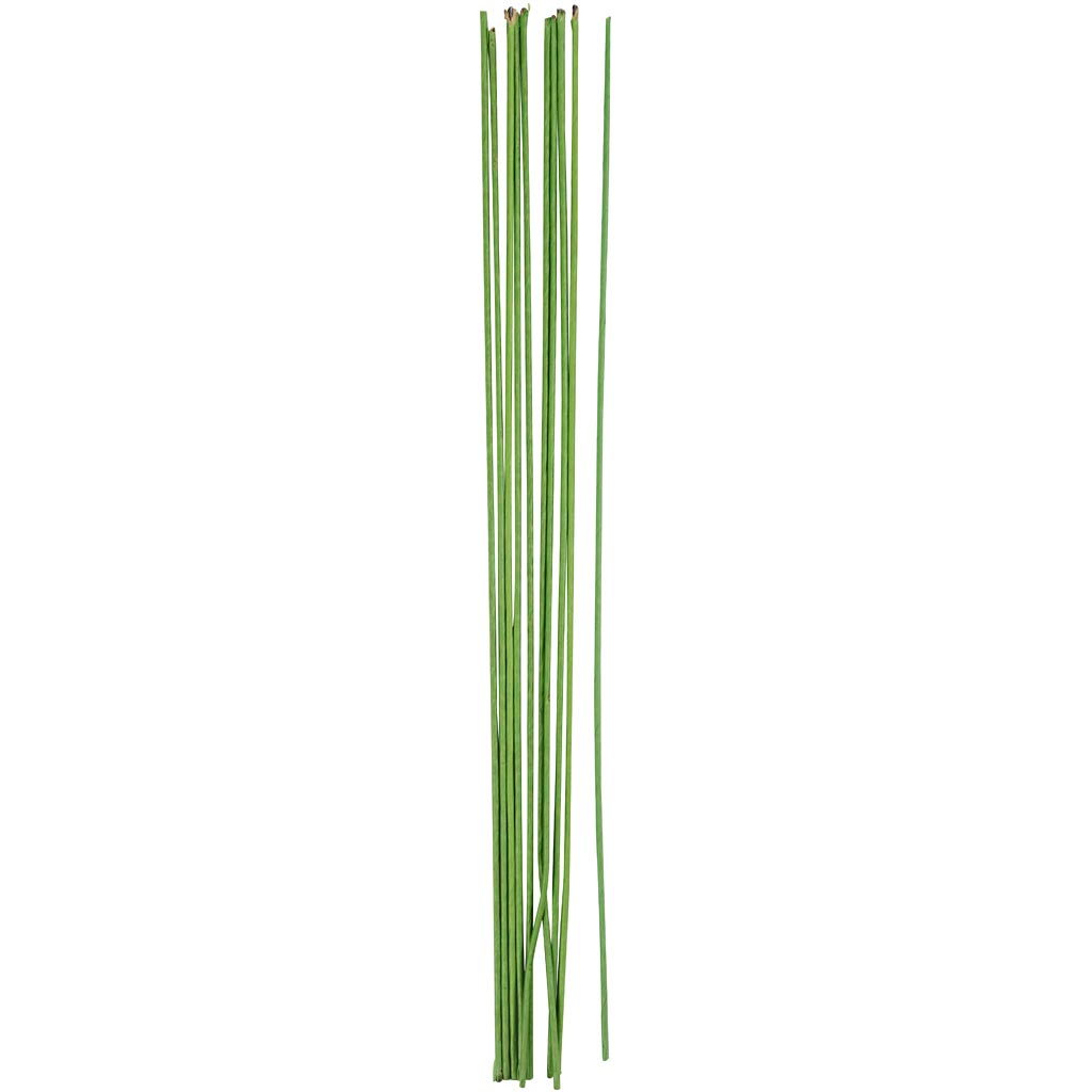 Blomsterstængel