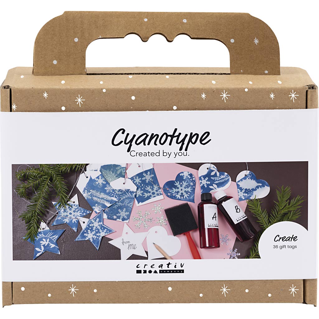 Mini DIY Kit Cyanotypi