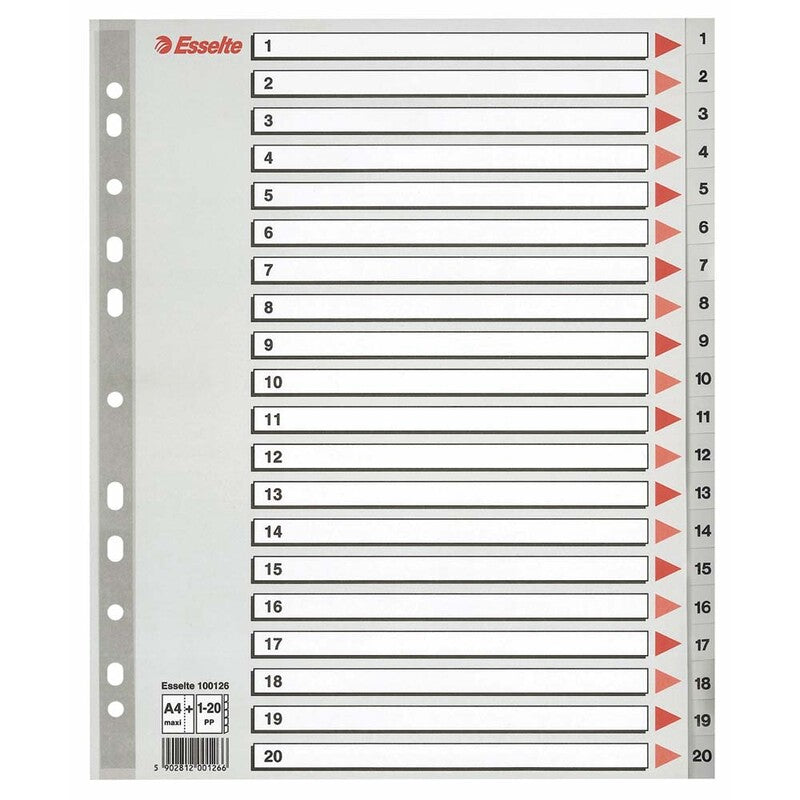 Register, Esselte, MAXI, A4,210x297mm, 1-20, grå, Pakke med 10 sæt