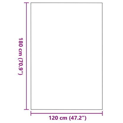 Dørmåtte Rektangulær Sort 120x180 cm