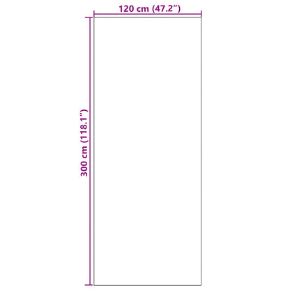 Dørmåtte Vaskbar Sort 120x300 cm